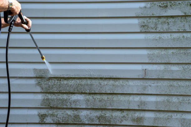 Affordable Siding Repair and Maintenance Services in Lucas, TX